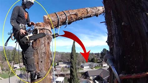 Top 10 Dangerous Tree Feeling Fails With Chainsaw Idiots Tree Falling