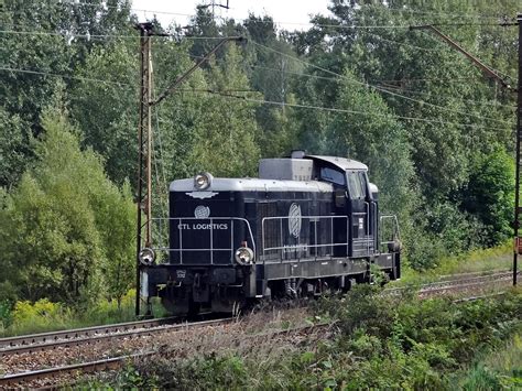 Le Ne Stonki Na Piaskach Kolejowe Kielce