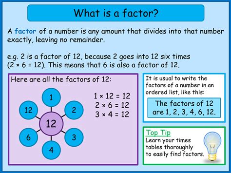 Finding Factors And Multiples A Plus Topper In 2024 Factors And