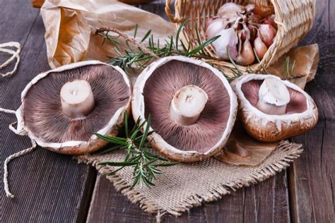 Best Can You Freeze Portobello Mushrooms Easy Recipes To Make At Home