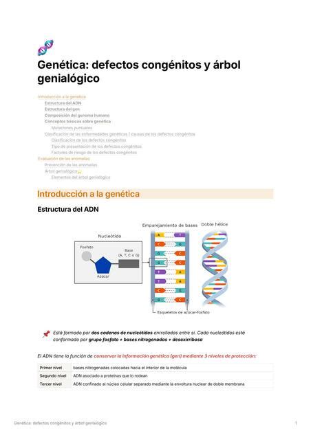 Genética defectos congénitos y árbol genialógico Kat Estudia uDocz