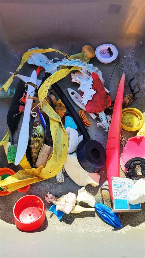 Marine Debris October 2022 Fishers Island Conservancy