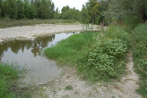 Passeggiata Del Crostolo Lato Rivalta