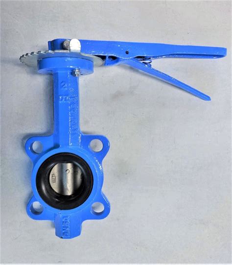 Watts 2 Butterfly Valve Lead Free Ductile Iron Body Cf8m Disc Lot