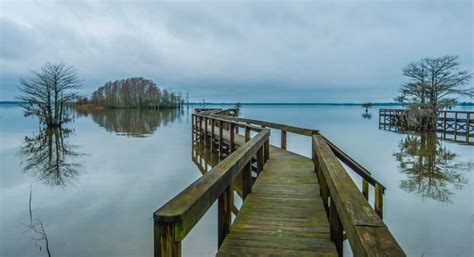 Lake Marion, South Carolina | Yamaha Boats