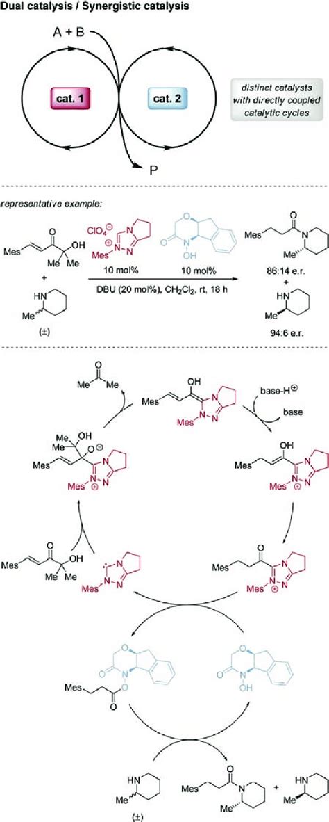 The Concept Of Dual Catalysissynergistic Catalysis Taking The Kinetic