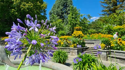 insel mainau bodensee da cipriano