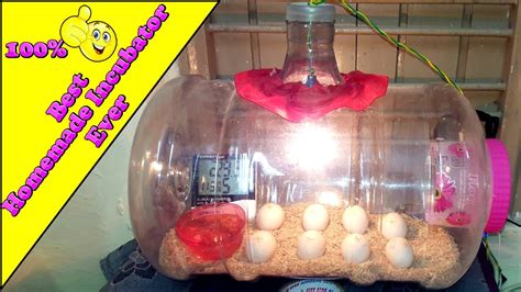 DIY Homemade Incubator Simple And Easy Hatching Chicken Eggs YouTube