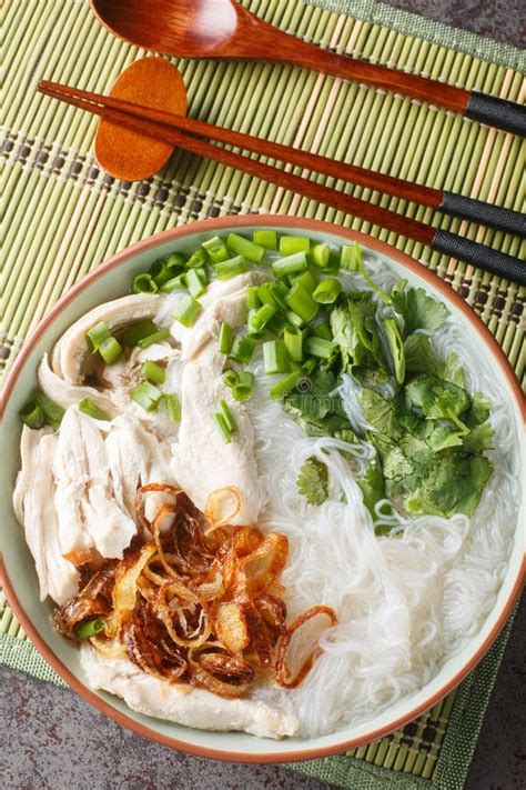 Oriental Clear Chicken Soup With Noodles Fried Onions Green Onions