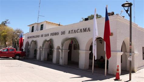 Municipalidad De San Pedro De Atacama Exige Eutanasia Para Casi