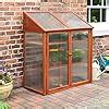 Rowlinson Hardwood Mini Greenhouse Amazon Co Uk Garden