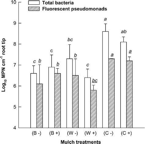 The Log 10 Mpn Counts Of Total Bacteria And Fluorescent Pseudomonads Download Scientific