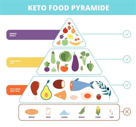 Jedzenie Keto Piramida Ywieniowa Ywno O Niskiej Zawarto Ci