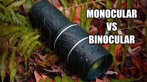 Monocular Vs Binocular Vision YouTube