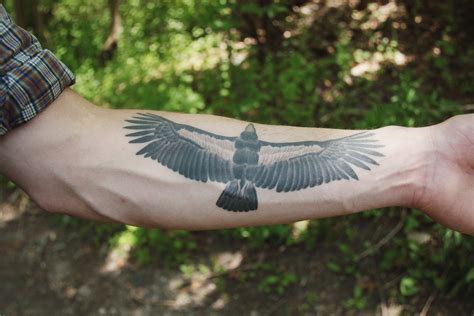 Andean Condor Tattoo