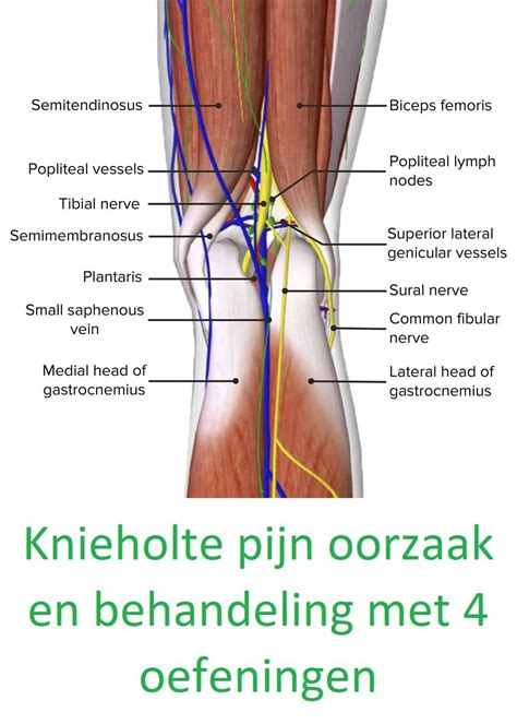 Knieholte Pijn Oorzaak En Behandeling Met Oefeningen