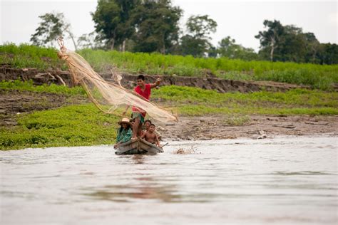 Amazon Fishing - IMB