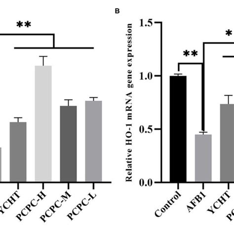 Effect Of Pcpc On Expression Levels Of Nrf And Ho In Kidney Of