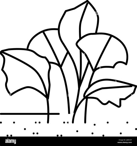 Live Aquatic Plant Aquarium Fish Line Icon Vector Illustration Stock