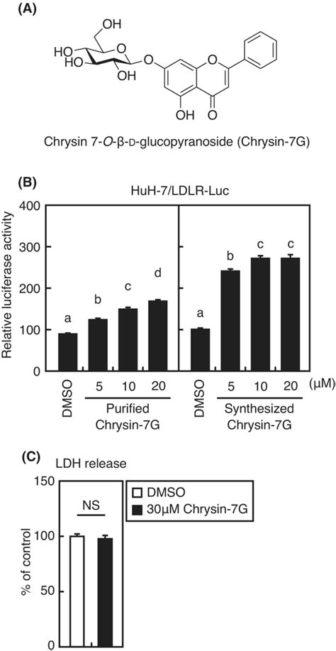 Effect Of Chrysin G On The Ldlr Gene Promoter Activity And Ldh Release