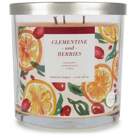 Sonoma Goods For Life® Clementine And Berries 14 Oz Candle Jar