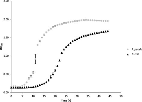 Od600 Growth Curves Of P Putida Gal1 Grey Diamonds And E Coli K12