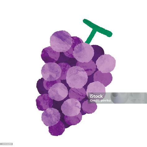 수채화 스타일 포도의 일러스트 소재 포도에 대한 스톡 벡터 아트 및 기타 이미지 포도 수채화 일러스트레이션 Istock