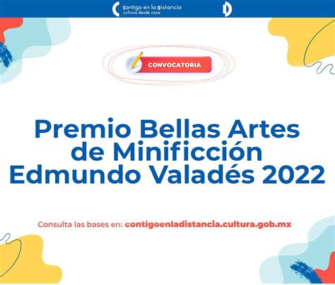 Abren Convocatoria Del Premio Bellas Artes De Minificci N Edmundo