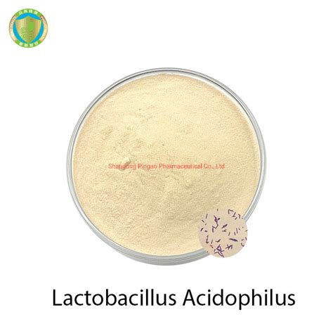 Food Grade Additive B Cfu G Probiotics Powder Lactobacillus