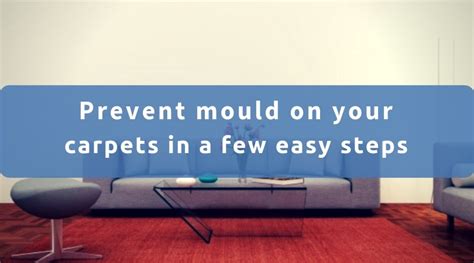 Prevent Mould On Your Carpet In A Few Easy Steps | Blog