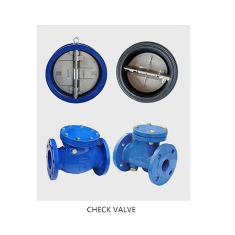 Cast Ductile Iron Check Valve In Ansi Bs Din Landee