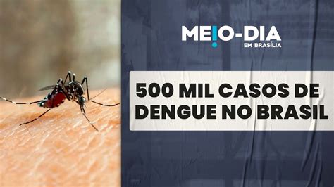 Brasil Ultrapassa 500 Mil Casos De Dengue Em Menos De Dois Meses YouTube