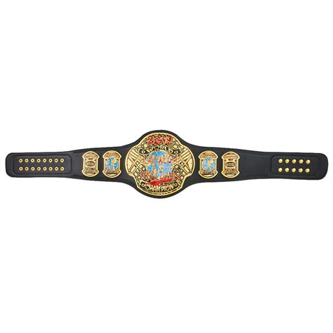 ECW World Heavyweight Championship Replica Title - Wrestling