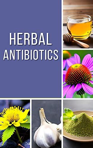 Herbal Antibiotics A Comprehensive Guide To Natural