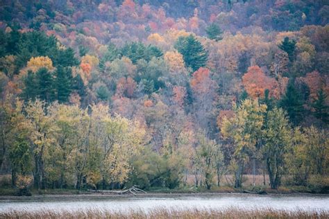 About The Amtrak Adirondack Train To Montreal | Frugal Frolicker