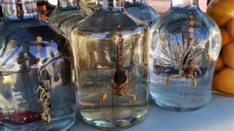 Mezcal con alacranes Sólo en Durango