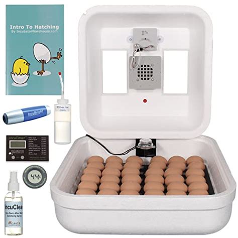 Top Best Incubator For Goose Eggs Reviews Buying Guide Katynel