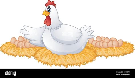 Gallina Ponedora De Huevos Imágenes Vectoriales De Stock Alamy