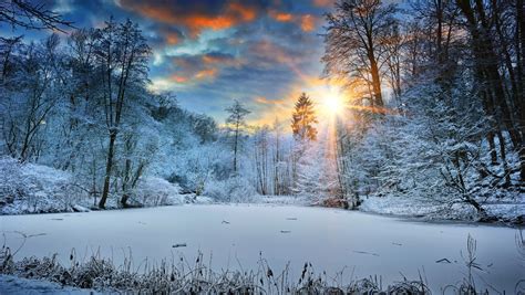 1360x768 Sunbeams Landscape Snow In Winter Trees 4k Laptop HD HD 4k Wallpapers, Images ...