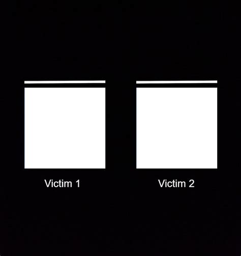 Who is Victim 1 and Victim 2 by TeloachTheSpinyShell on DeviantArt