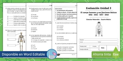 Evaluaci N B Sico Ciencias Naturales Unidad