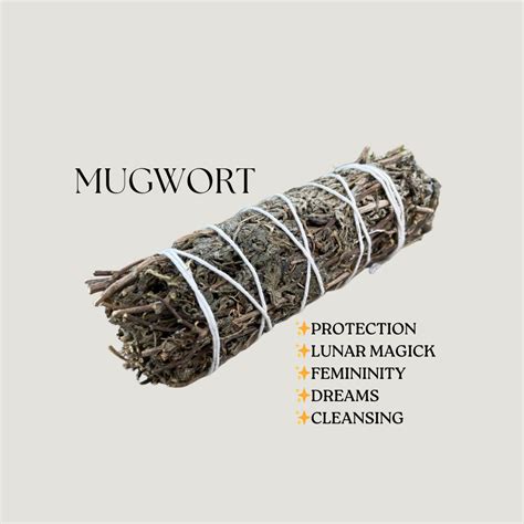 Mugwort Smoke Cleansing Bundles Etsy