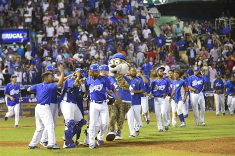 Los Tigres De Licey Consiguen Su Boleto A Playoffs En Dominicana