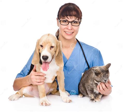 Gato Y Perro De Abrazo Veterinarios En El Fondo Blanco Foto De Archivo