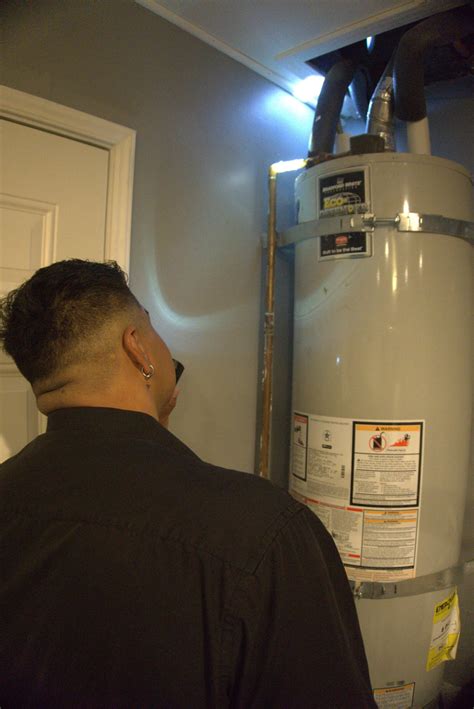 Services | Hemer's Pest Control