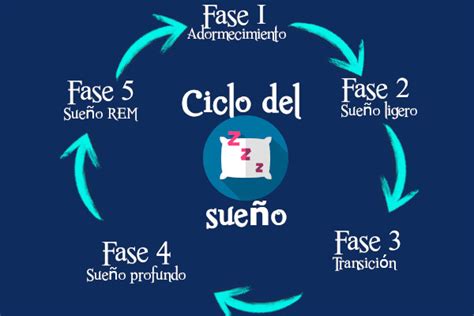 Conoce el ciclo del sueño y cada una de sus fases