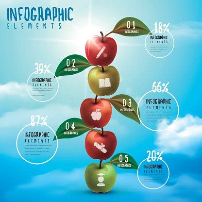 Education Infographic Template Stock Vector | Royalty-Free | FreeImages