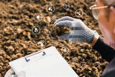 Maximizing Harvests The Importance Of Soil Moisture Sensors