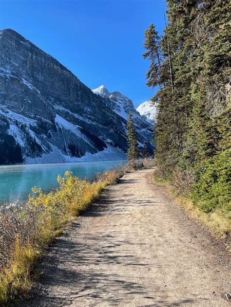 Banff Adventures Plain Of Six Glaciers And Big Beehive Loop Peculiar