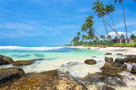 Insiders Guide To Unawatuna Sri Lanka Surf Swings Seafood And Sand